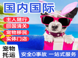 大同云冈航空物流国际宠物托运 【国